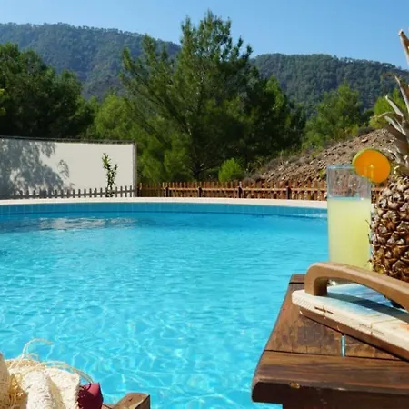 Willa The Ultimate In An Ideal Location, Dalaman 1053